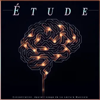 Étude: Concentration, Apprentissage de La Lecture Musicale by Musique de Concentration Pour Le Travail