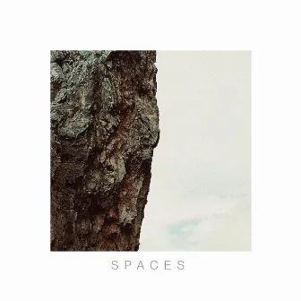 Spaces by Luca Petracca