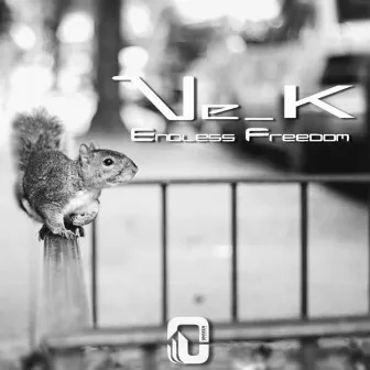 Endless Freedom E.P by Nek