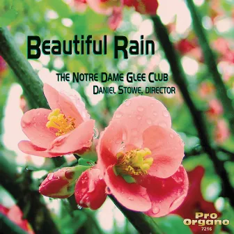 Beautiful Rain by Daniel Stowe