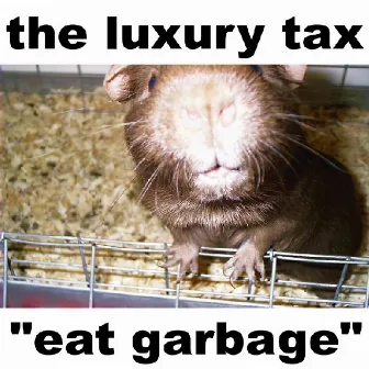 Papa New Guinea Pig by The Luxury Tax