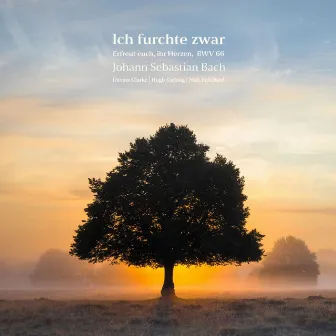 Bach: Erfreut euch, ihr Herzen in D Major, BWV 66: V. Ich furchte zwar by Nick Pritchard