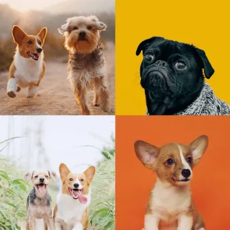 Wonderful - Happy Dogs by Fashionable Doggy Music