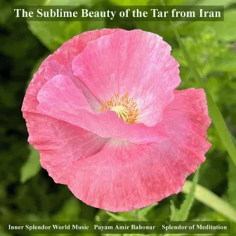 The Sublime Beauty of the Tar from Iran by Inner Splendor World Music