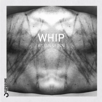 Whip by Unknown Artist