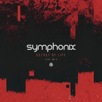 Secret of Life (Live Mix) by Symphonix