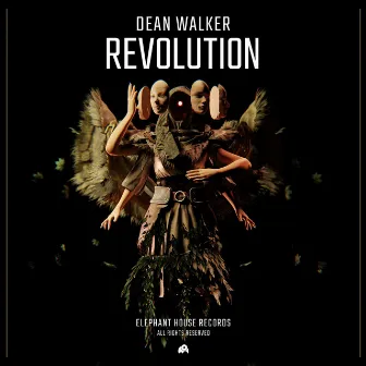 Revolution by Dean Walker