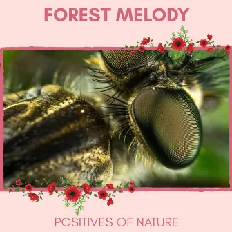 Forest Melody - Positives of Nature by Nature Radiance Project