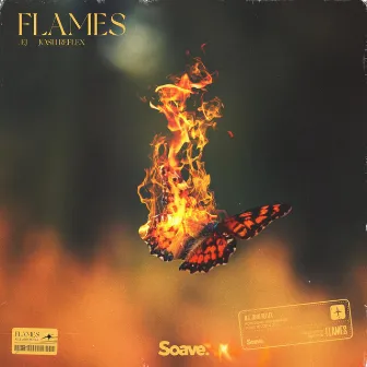 Flames by Æj