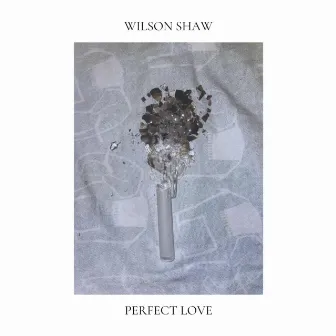 Perfect Love by Wilson Shaw