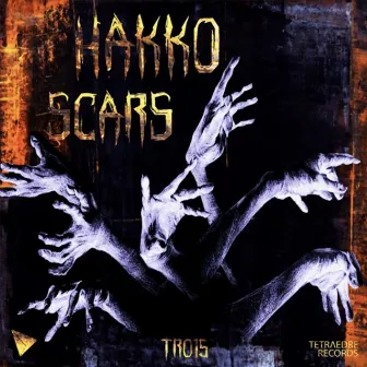 Scars by Hakko