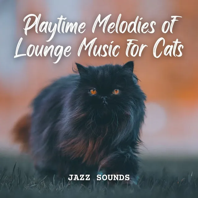 Jazz Sounds: Playtime Melodies of Lounge Music for Cats