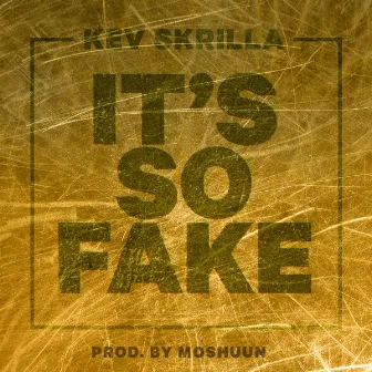 It's So Fake by Kev Skrilla