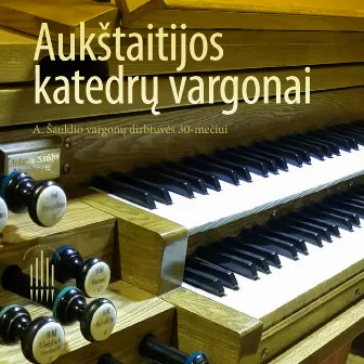 Aukštaitijos Katedrų Vargonai. A. Šauklio Vargonų Dirbtuvės 30-mečiui by Mona Roždestvenskytė