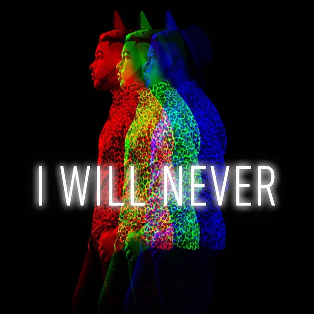 I Will Never