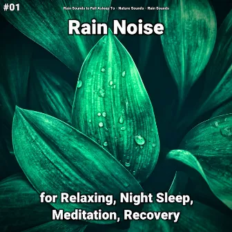 #01 Rain Noise for Relaxing, Night Sleep, Meditation, Recovery by Rain Sounds to Fall Asleep To