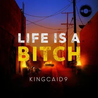 Life's a Bitch by Kingcaid9