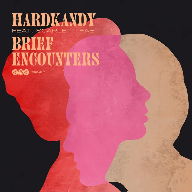 Brief Encounters