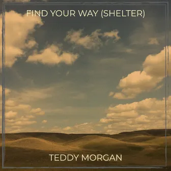 Find Your Way (Shelter) by Teddy Morgan