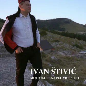 Moj Sokole Na Plitvice Sleti by Ivan Štivić