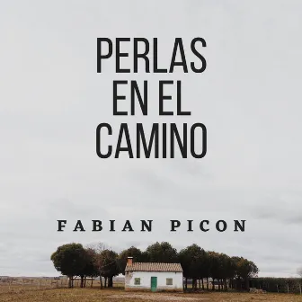 Perlas en el Camino (Remezcla 2020) by Fabián Picón