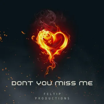 Dont You Miss Me by Feltip