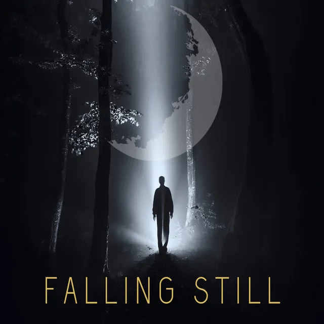 Falling Still