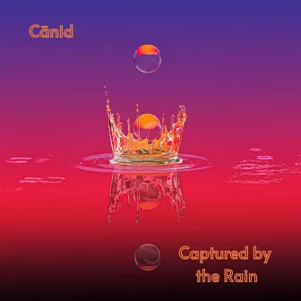 Captured by the Rain by Cānid