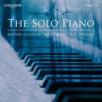 The Solo Piano by Paolo Vivaldi