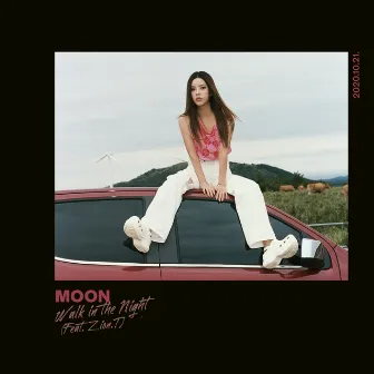 Walk In The Night (Feat. Zion.T) by Moon Sujin