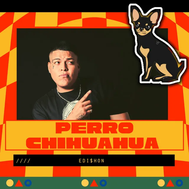 Perro Chihuahua