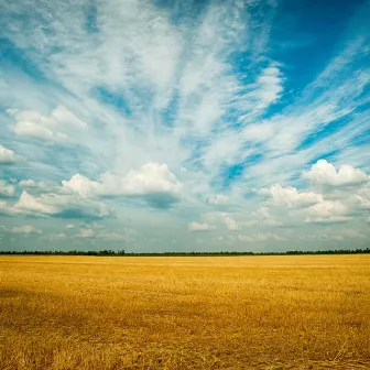 Field of Love by Christian Smith