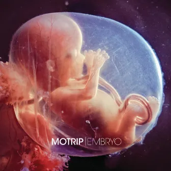 Embryo by MoTrip