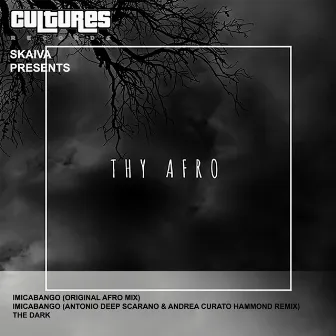 Thy Afro by Skaiva