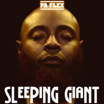 Sleeping Giant by PA Flex