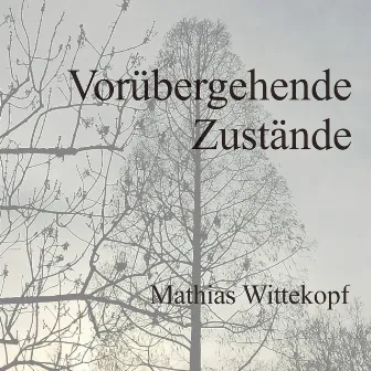 Vorübergehende Zustände (Instrumental Version) by Mathias Wittekopf