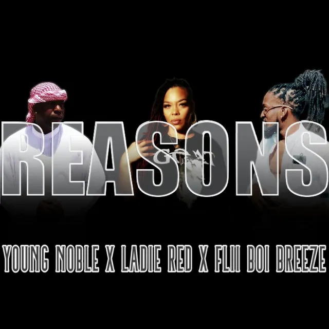 Reasons (Remix)