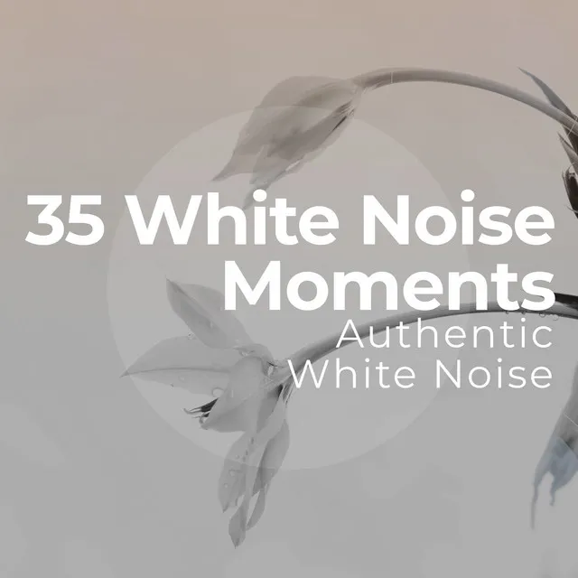 Zen White Noise