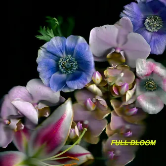 Full Bloom by Unknown Artist