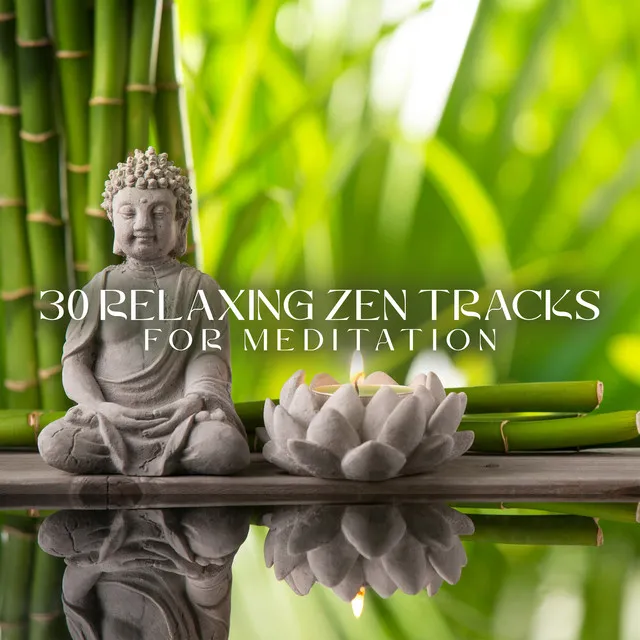 30 Relaxing Zen Tracks for Meditation: Calm Nature Sounds, Asian Spa Music, and Ambient Instrumental Music