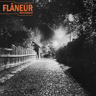 FLÂNEUR by MistahMath