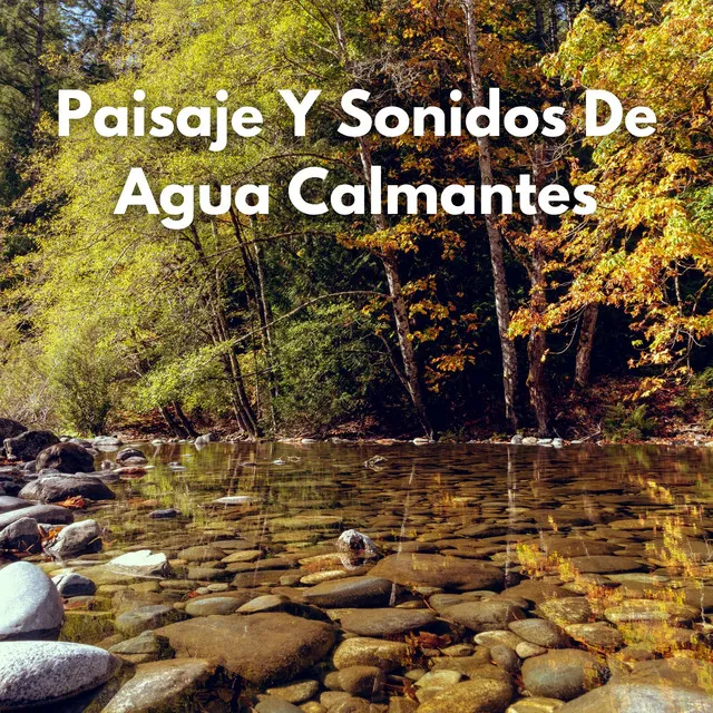 Paisaje Y Sonidos De Agua Calmantes