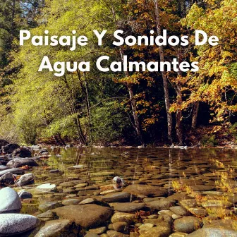 Paisaje Y Sonidos De Agua Calmantes by Acústica fácil y relajante