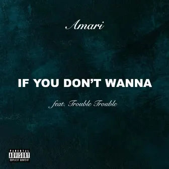 If You Don't Wanna by Amari