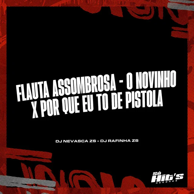 Flauta Assombrosa - o Novinho x Por Que Eu To de Pistola