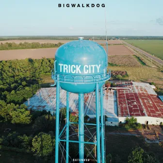 Trick City (Extended) by BigWalkDog