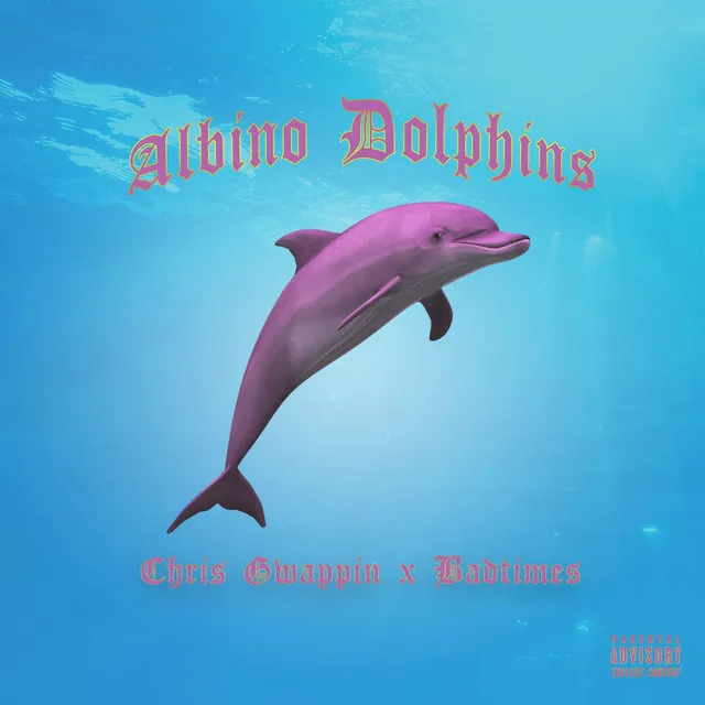 Albino Dolphins