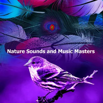 Nature Sounds and Music Masters by Sonic Nature