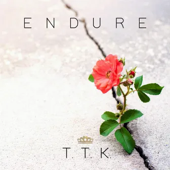 Endure by T. T. K.