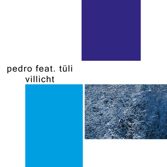 Villicht